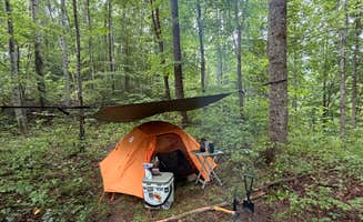 Tylor C.'s photo at FS 289 Pull Off near Hartford, TN