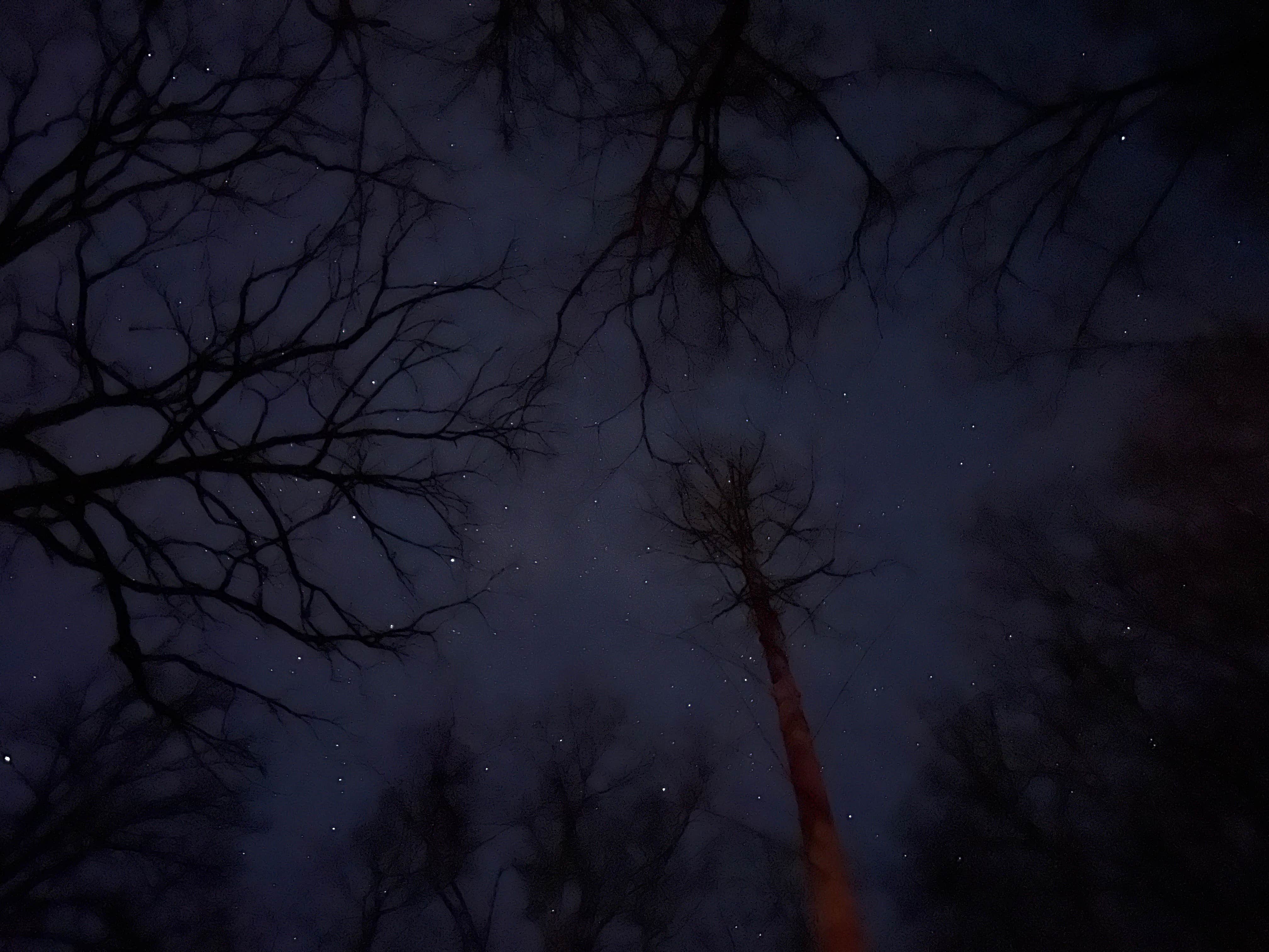 Camper-submitted photo at FS 289 Pull Off near Talbott, TN