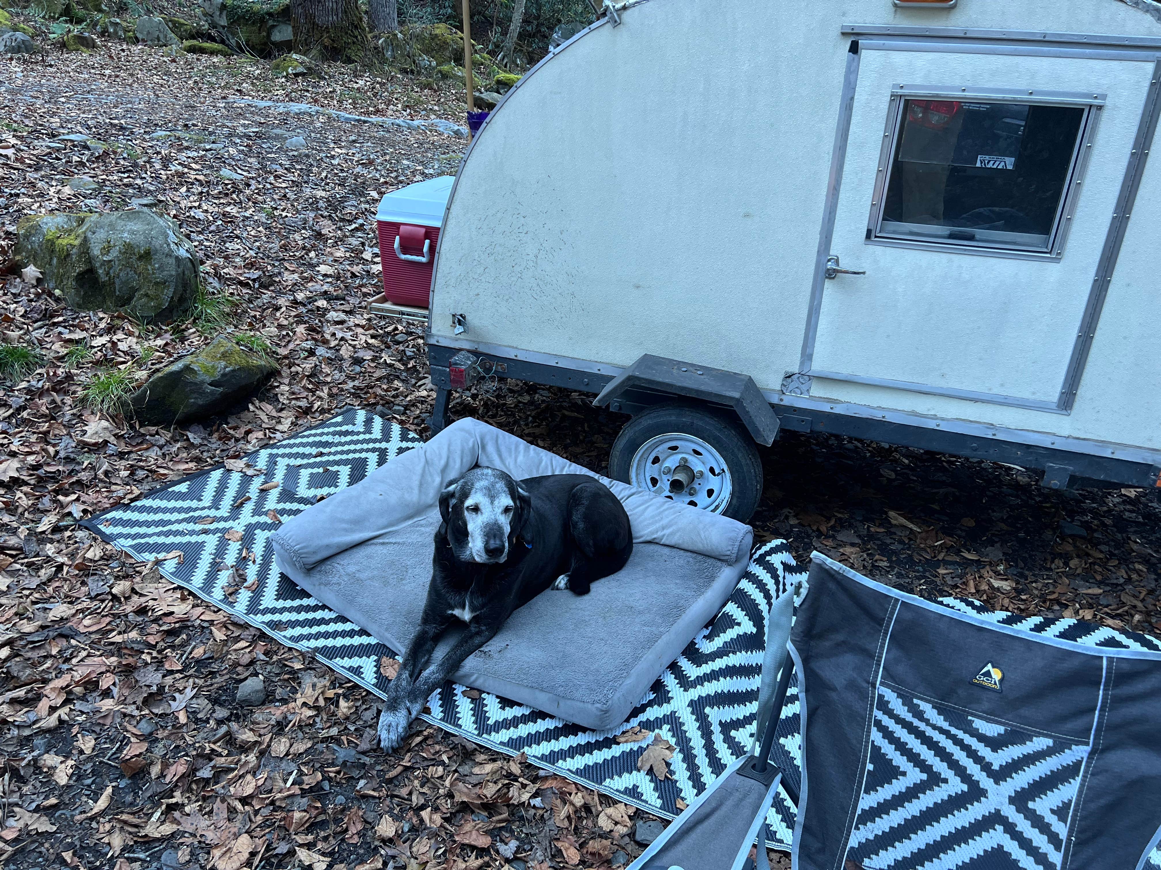 Brad E.'s photo of a dispersed camping area at FS 289 Pull Off near Candler, NC