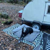 Review photo of FS 289 Pull Off by Brad E., December 3, 2025