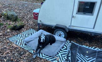 Brad E.'s photo of a dispersed camping area at FS 289 Pull Off near Pigeon Forge, TN