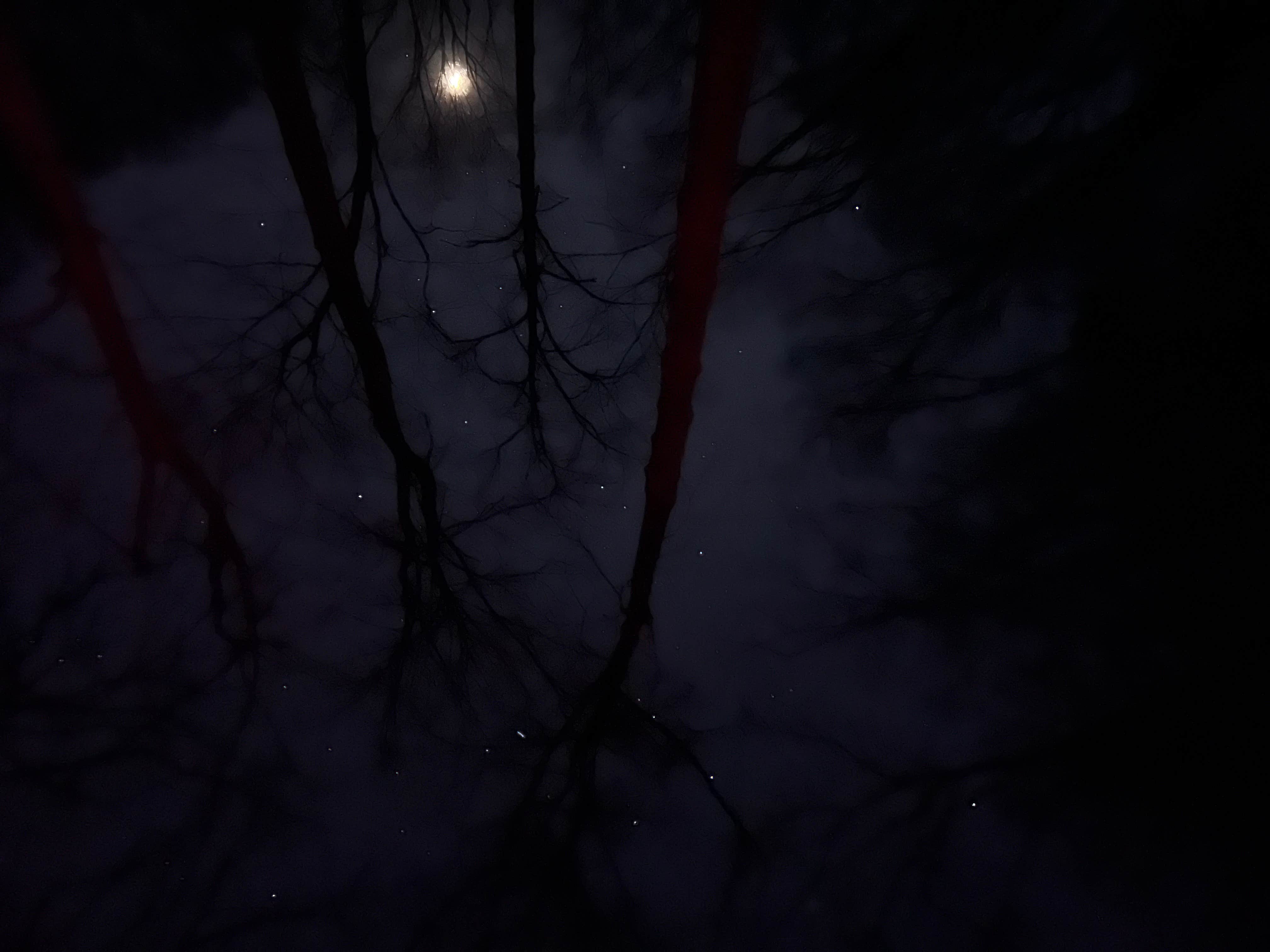 Camper-submitted photo at FS 289 Pull Off near Talbott, TN