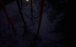 Brad E.'s photo of a dispersed camping area at FS 289 Pull Off near Talbott, TN