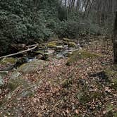 Review photo of FS 289 Pull Off by gentle T., December 1, 2025