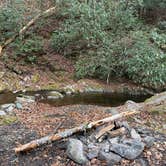 Review photo of FS 289 Pull Off by gentle T., December 1, 2025