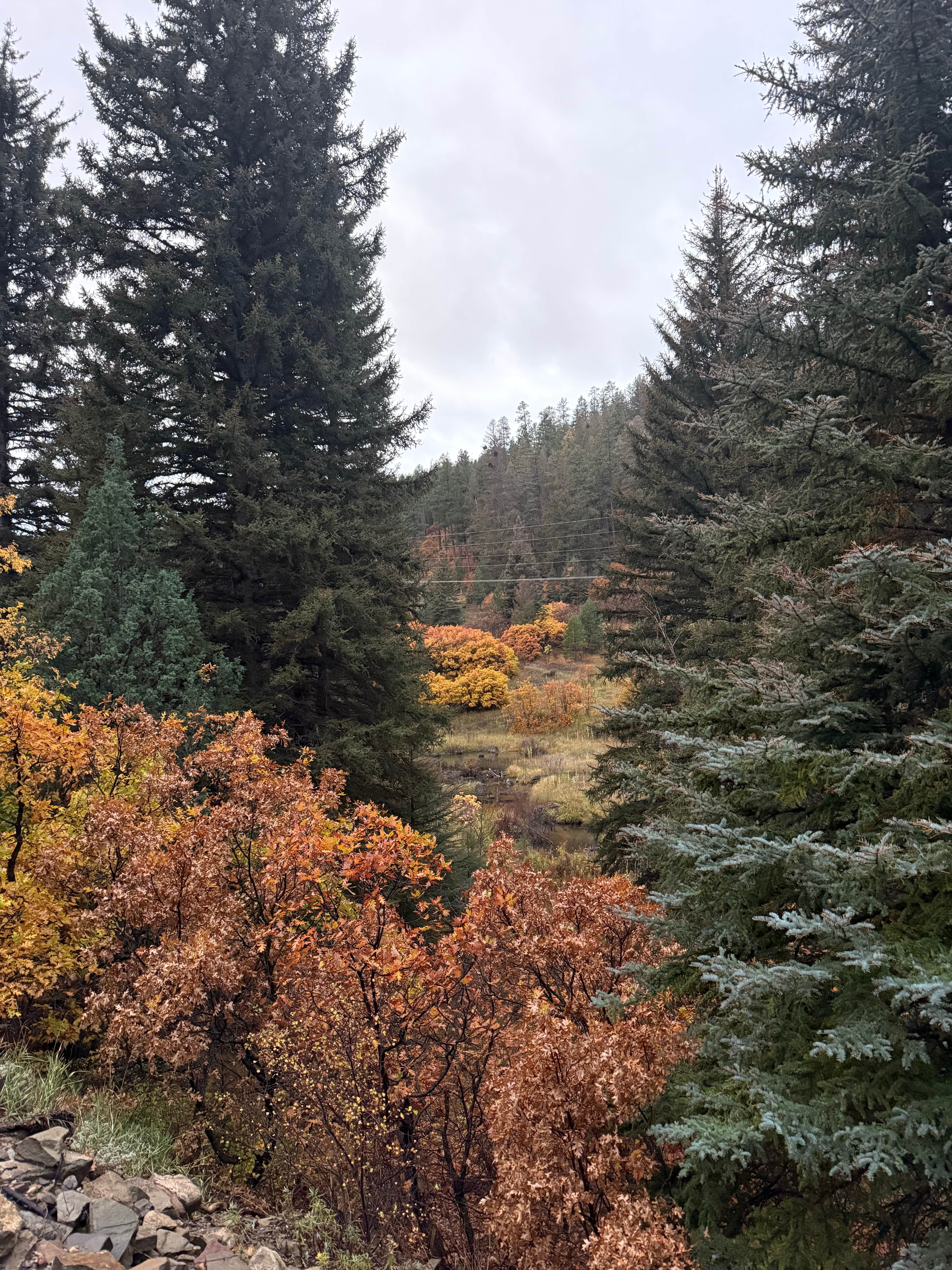 Camping near LUXX Lodge - Glamping & Taos RV Park: Forest Service 439, Vadito, New Mexico