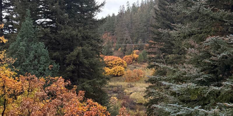 Camper submitted image from Forest Service 439