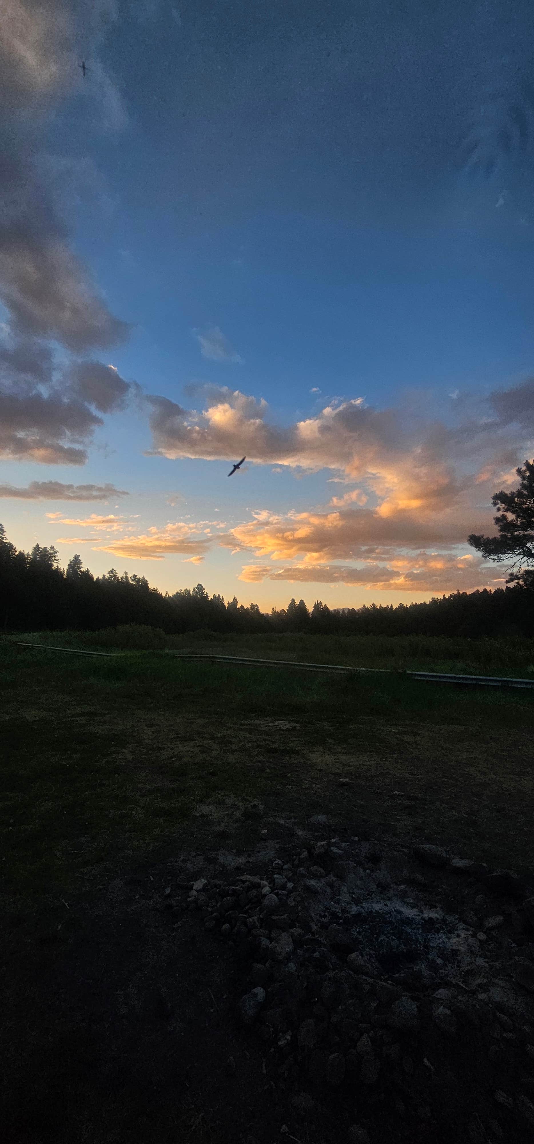 Mogo G.'s photo of a dispersed camping area at Forest Service 439 near Peñasco, NM