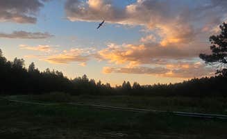 Mogo G.'s photo of a dispersed camping area at Forest Service 439 near Arroyo Seco, NM