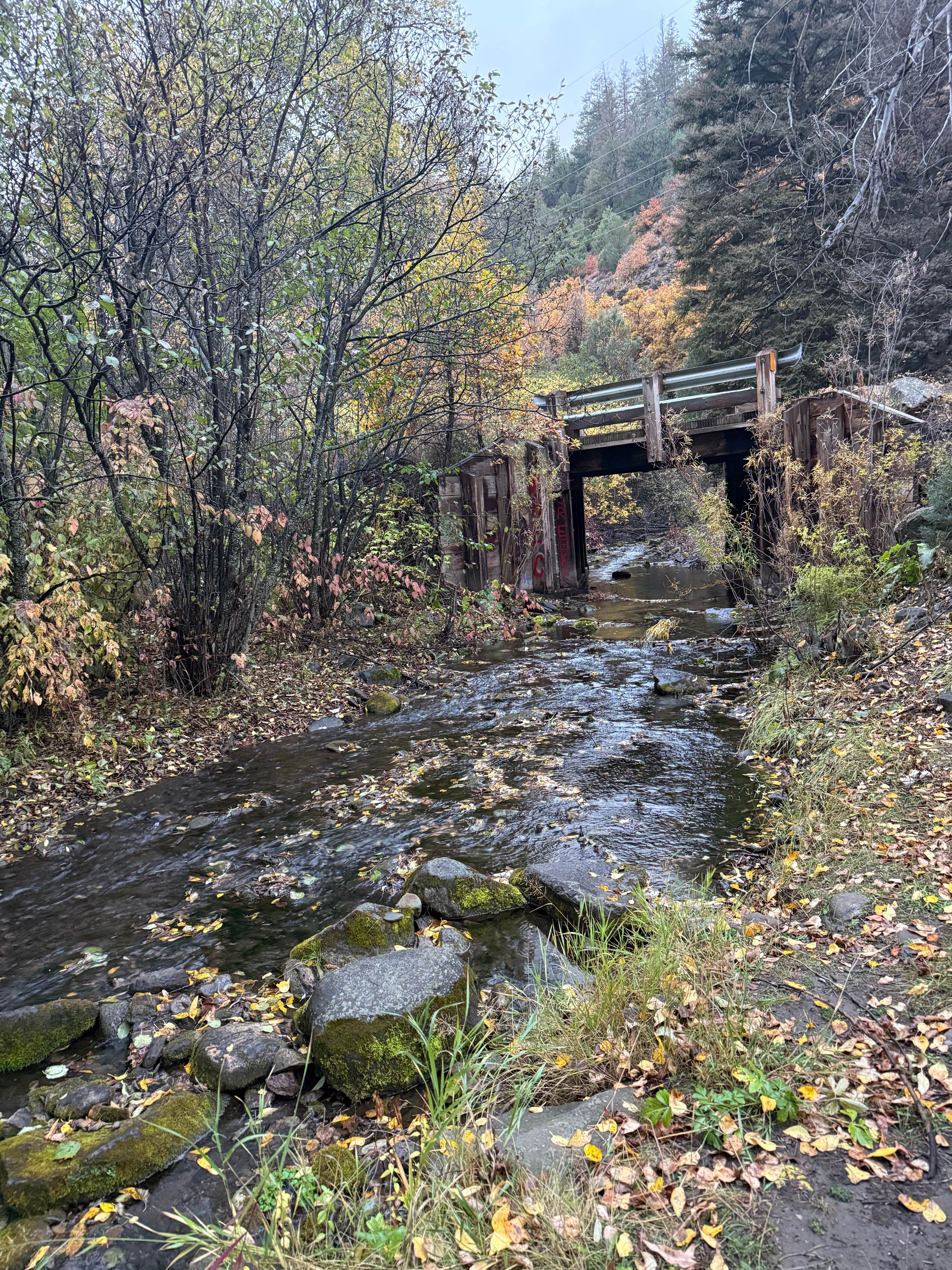Camper-submitted photo at Forest Service 439 near Vadito, NM
