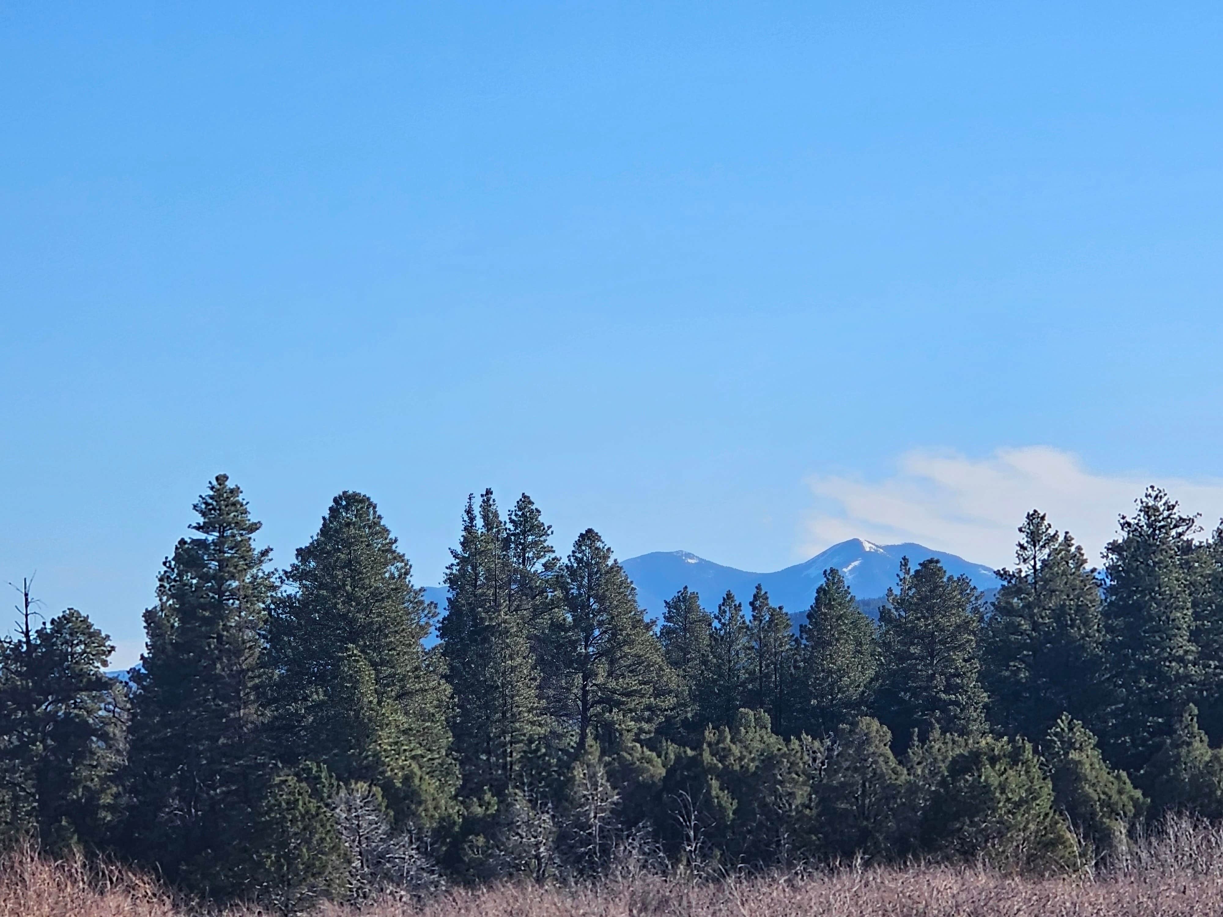 Camper-submitted photo at Forest Service 439 near Peñasco, NM
