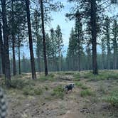 Review photo of BEND FS 4610 Dispersed by Reagan M., September 15, 2025