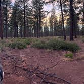 Review photo of BEND FS 4610 Dispersed by Jay S., August 2, 2025