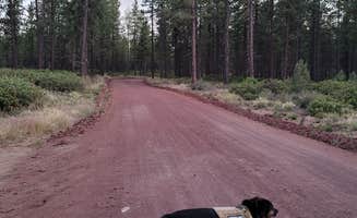 Chelsie's photo of camping with pets at BEND FS 4610 Dispersed near Deschutes & Ochoco National Forests & Crooked River National Grassland