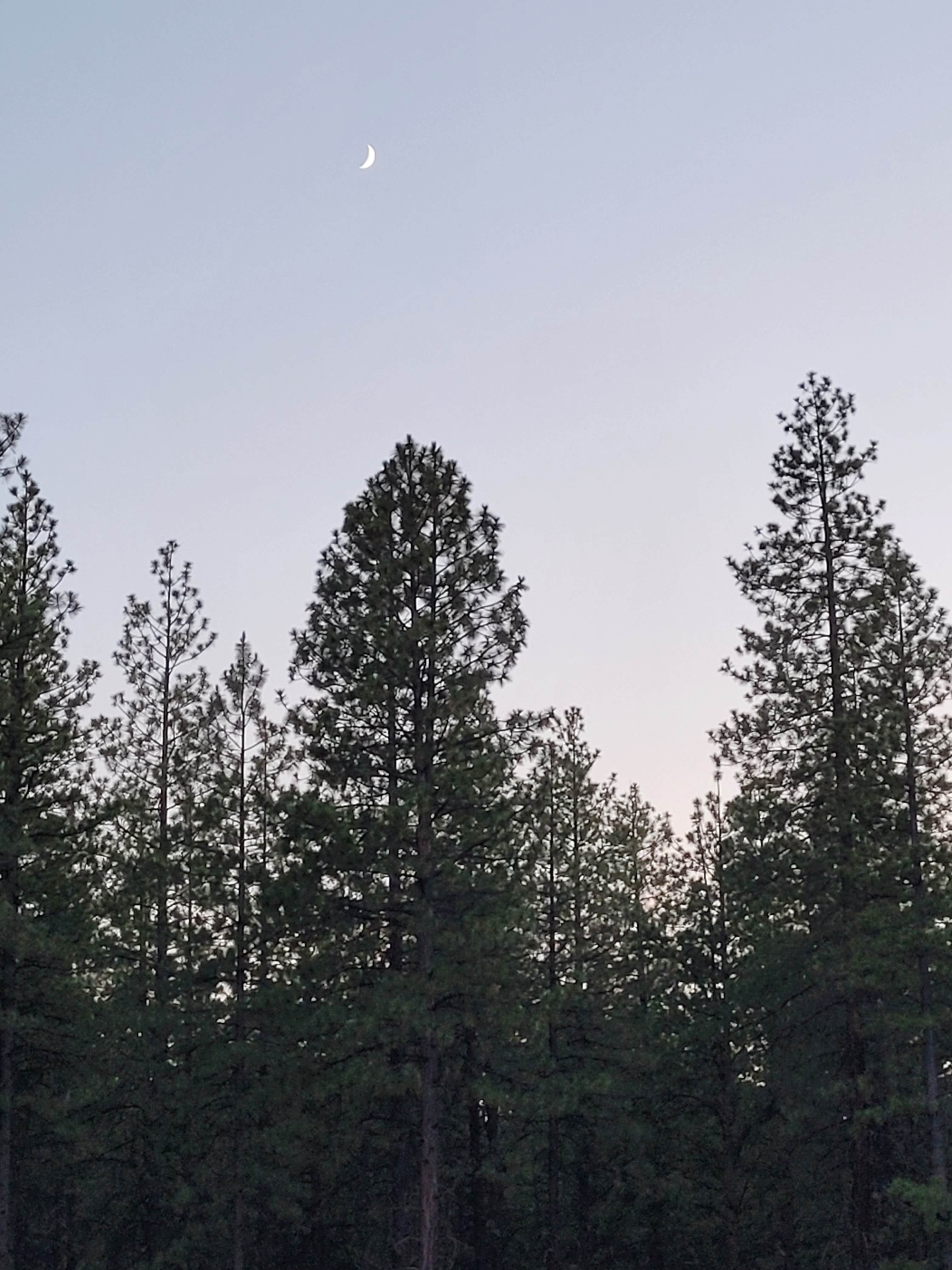 Camper-submitted photo at BEND FS 4610 Dispersed near Deschutes & Ochoco National Forests & Crooked River National Grassland