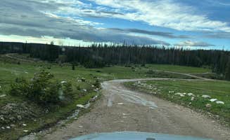 slowicagt's photo of a dispersed camping area at FS RD 103 Dispersed near Rock River, WY