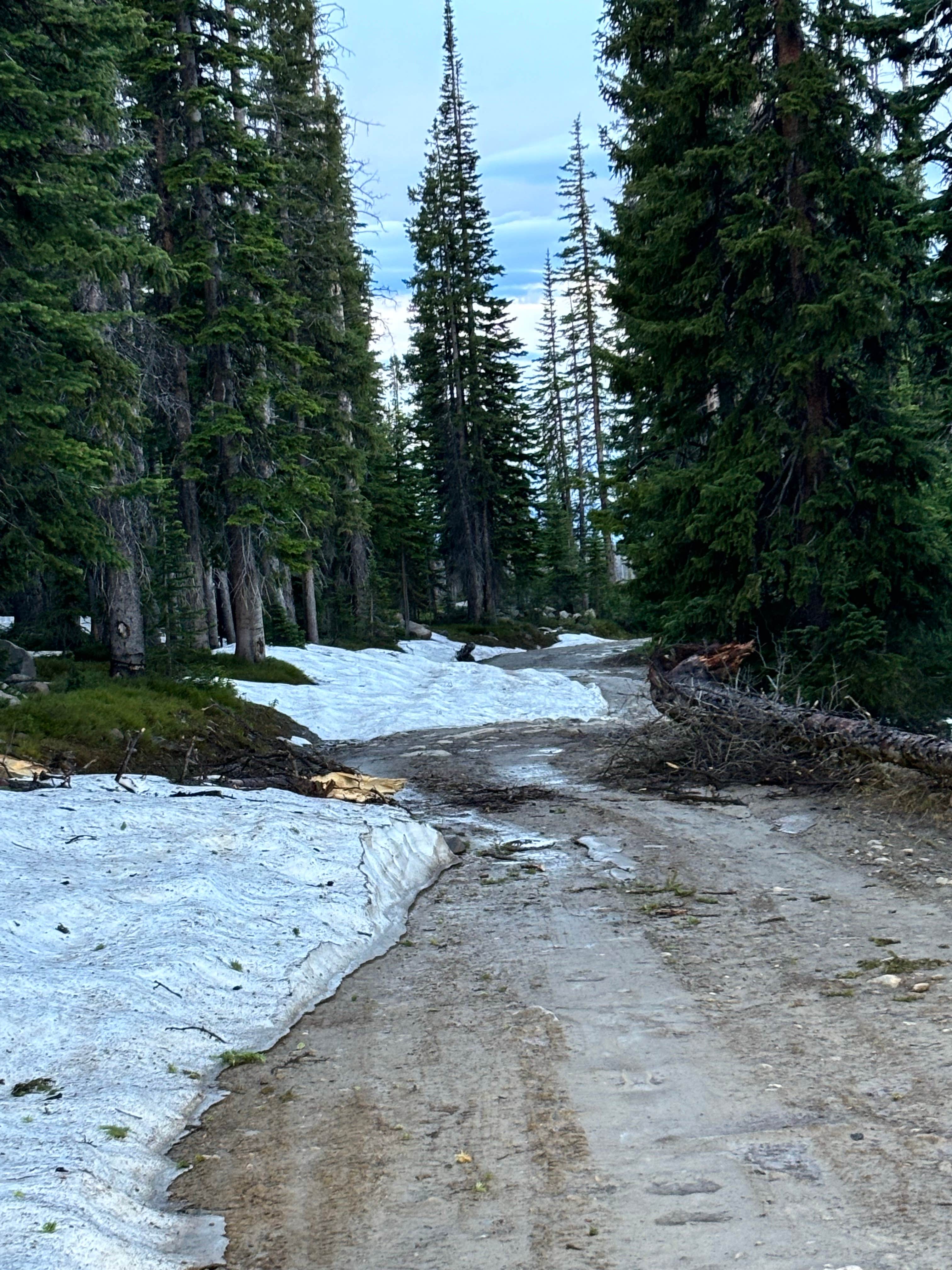 Camper-submitted photo at FS RD 103 Dispersed near Elk Mountain, WY