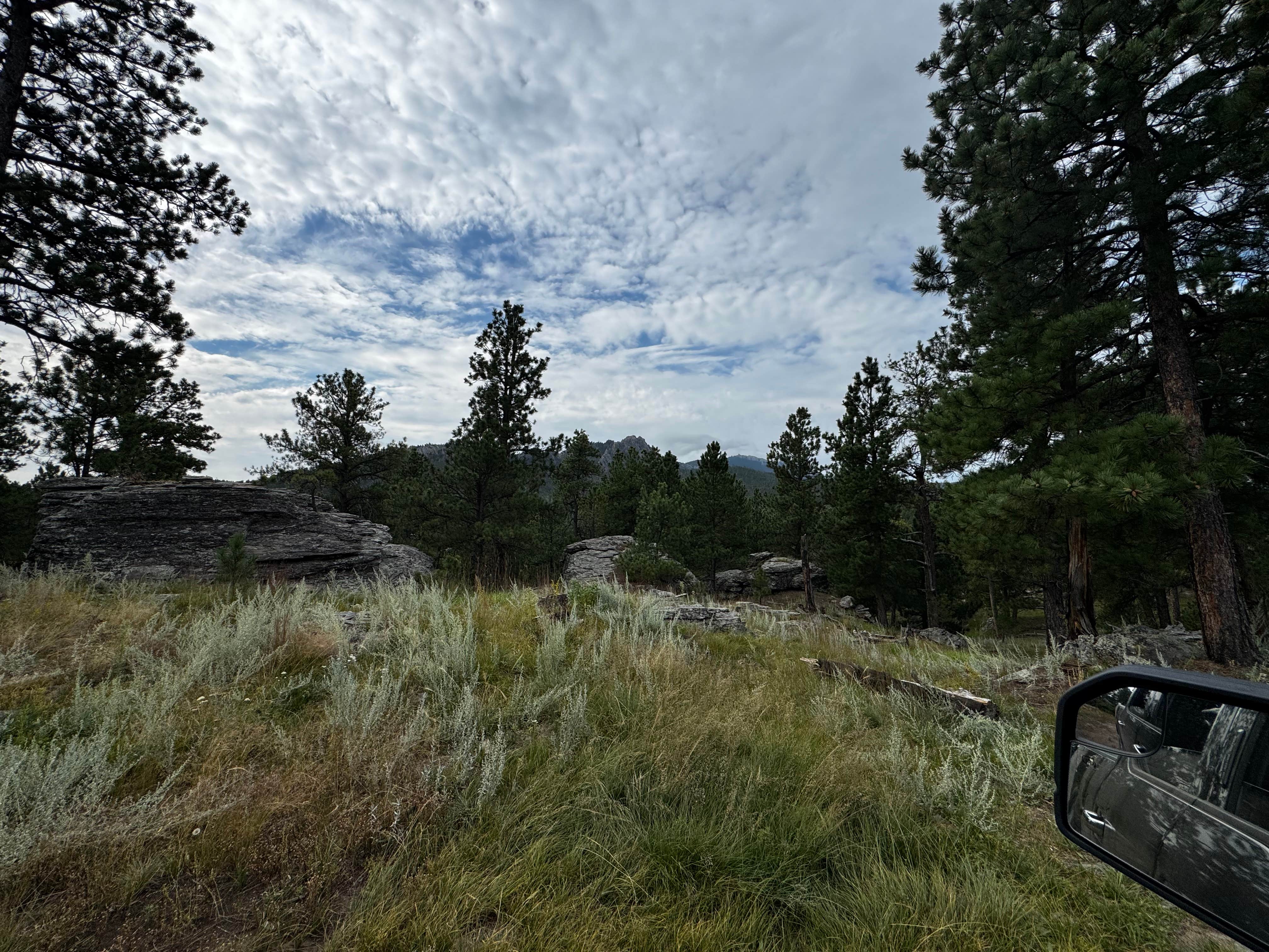 Camper-submitted photo at FS RD 103 Dispersed near Elk Mountain, WY