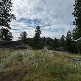 Review photo of FS RD 103 Dispersed by Matt J., August 28, 2025