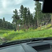 Review photo of FS RD 103 Dispersed by Matt J., August 28, 2025