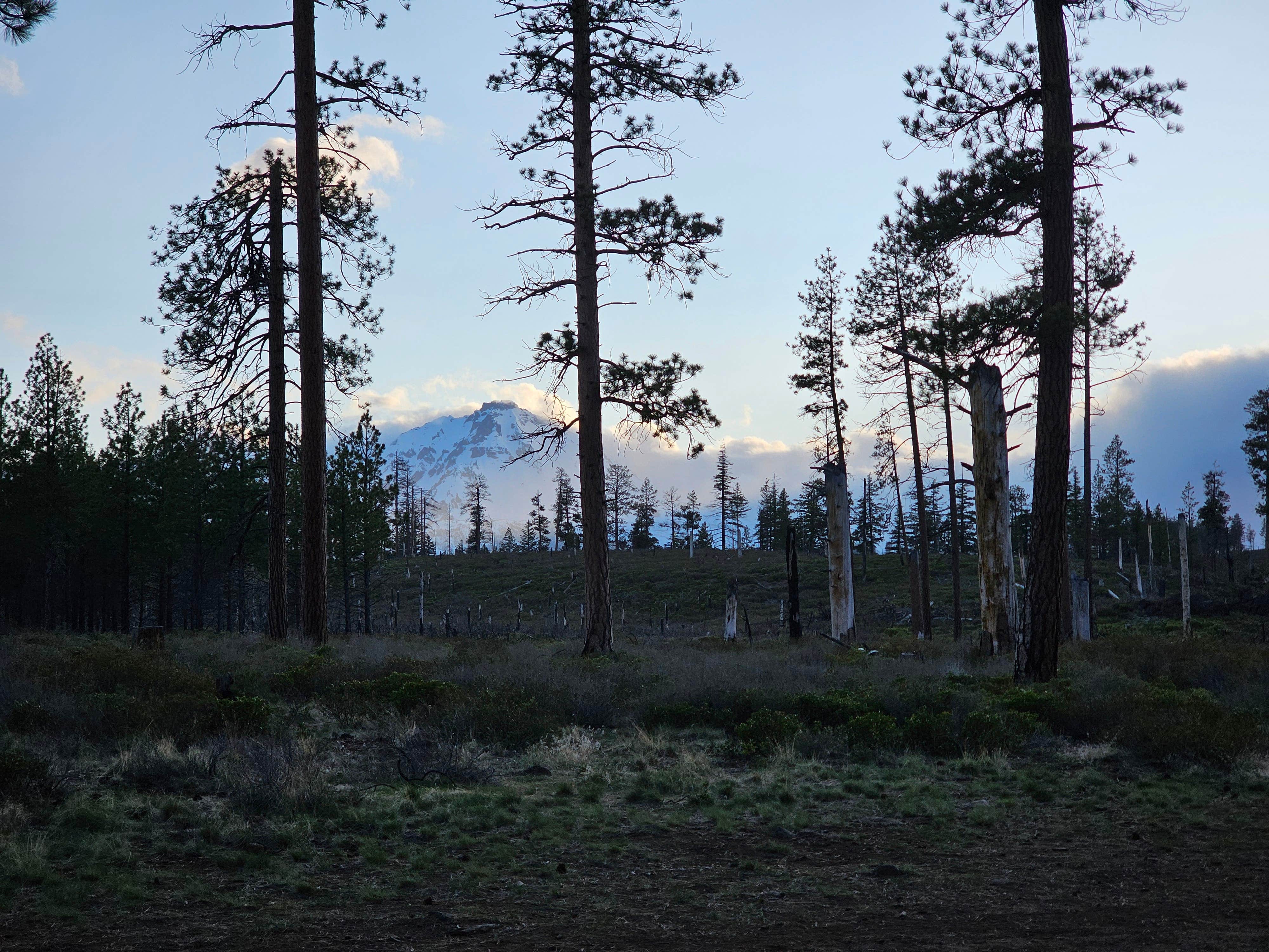 Camper-submitted photo at FS Rd 1514 Dispersed camping near Cloverdale, OR