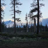 Review photo of FS Rd 1514 Dispersed camping by GianLuc B., April 21, 2025