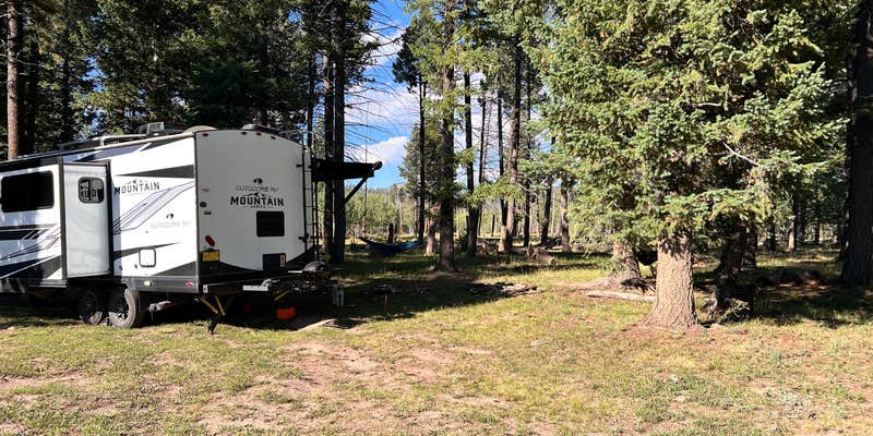 Camper submitted image from Forest Service Rd 268 Dispersed Site