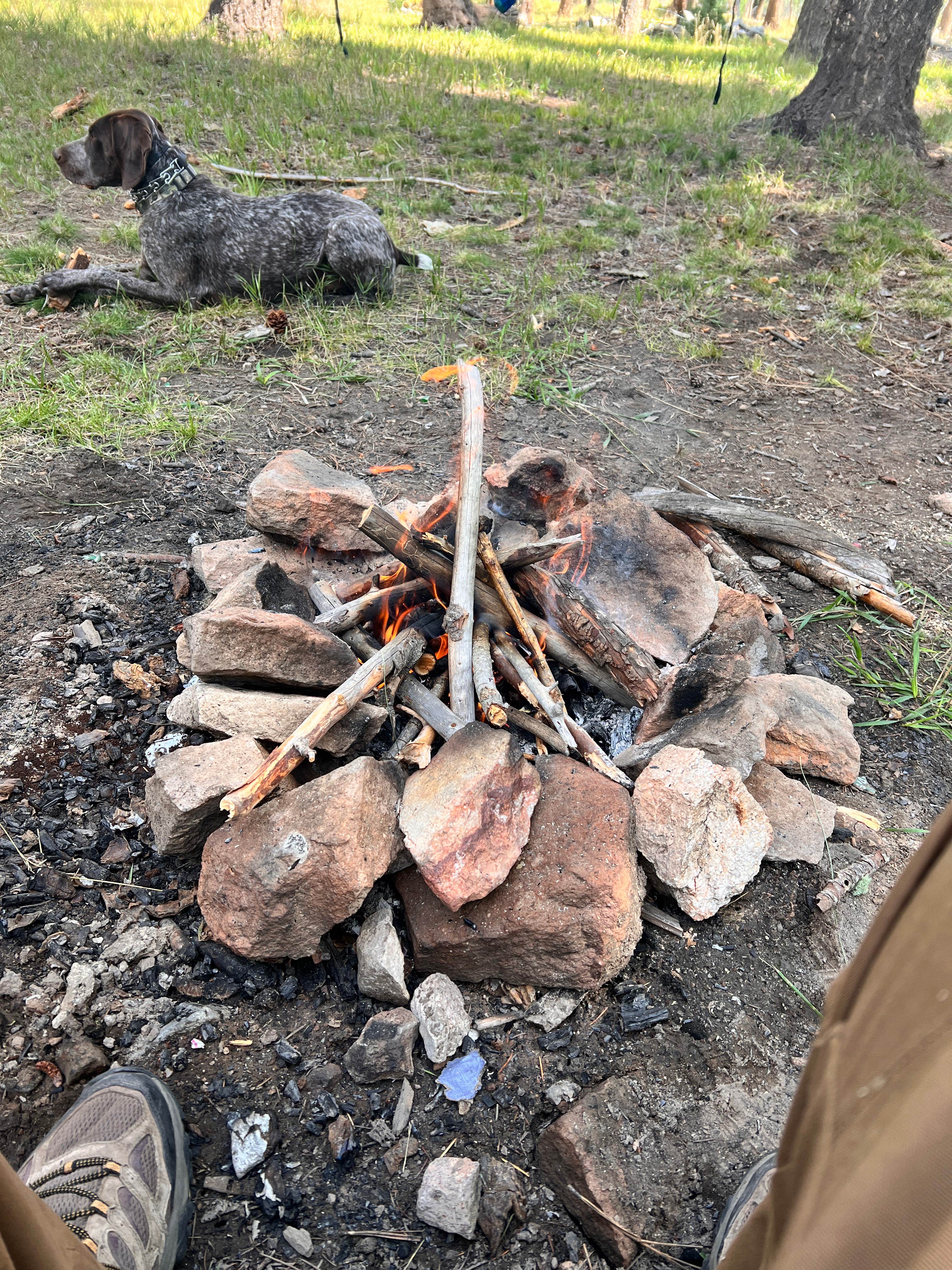 Camper-submitted photo at Forest Service Rd 268 Dispersed Site near Cochiti Lake, NM