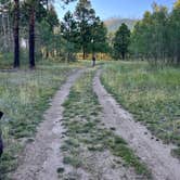 Review photo of Forest Service Rd 268 Dispersed Site by Gregory R., September 2, 2025