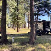 Review photo of Forest Service Rd 268 Dispersed Site by Gregory R., September 2, 2025