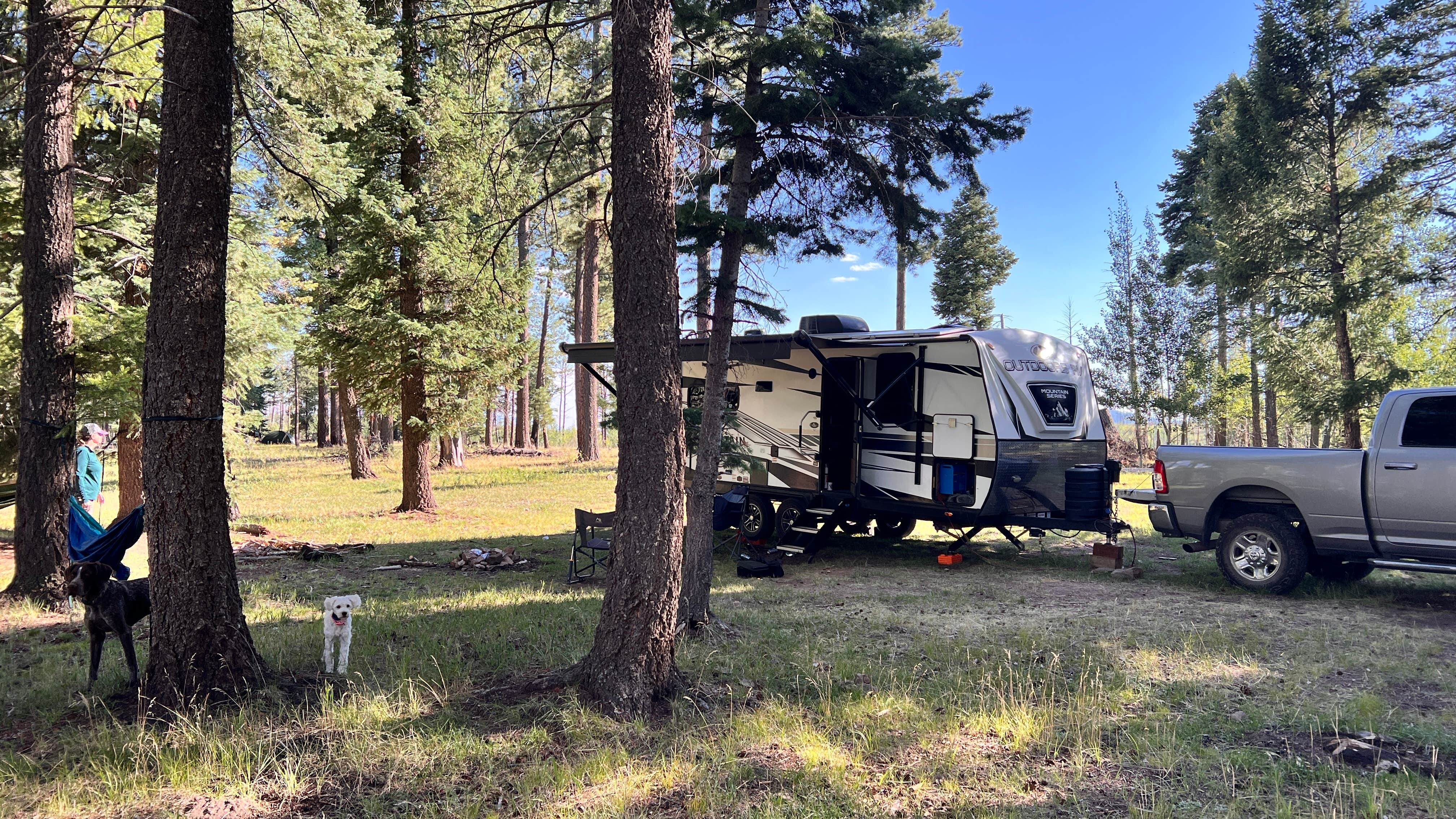 Camper submitted image from Forest Service Rd 268 Dispersed Site - 2