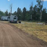 Review photo of FS Road #177 Bowden Draw Dispersed Camping Area by johny R., July 14, 2025