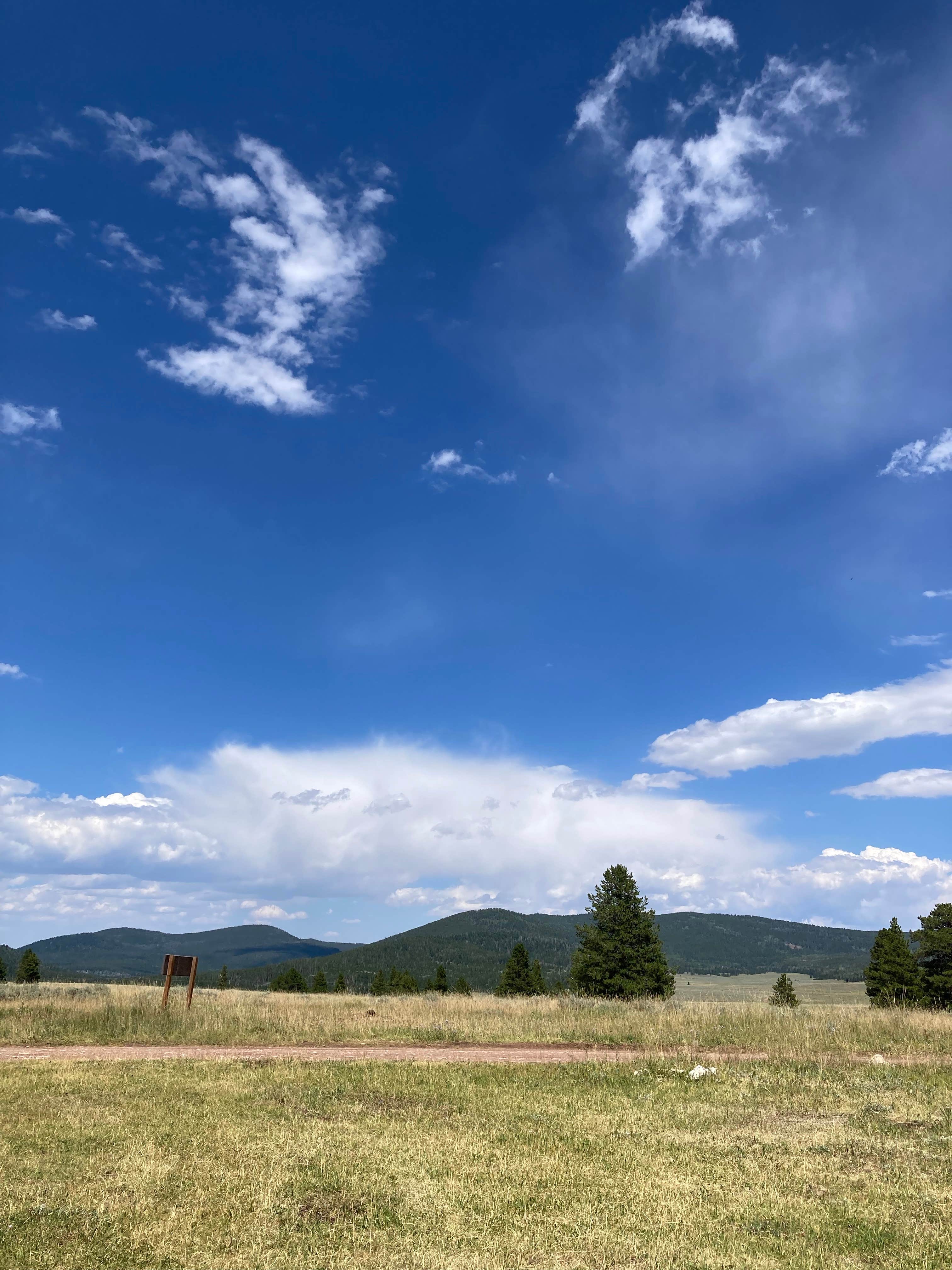 Camper-submitted photo at FS Road #177 Bowden Draw Dispersed Camping Area near Flaming Gorge, UT