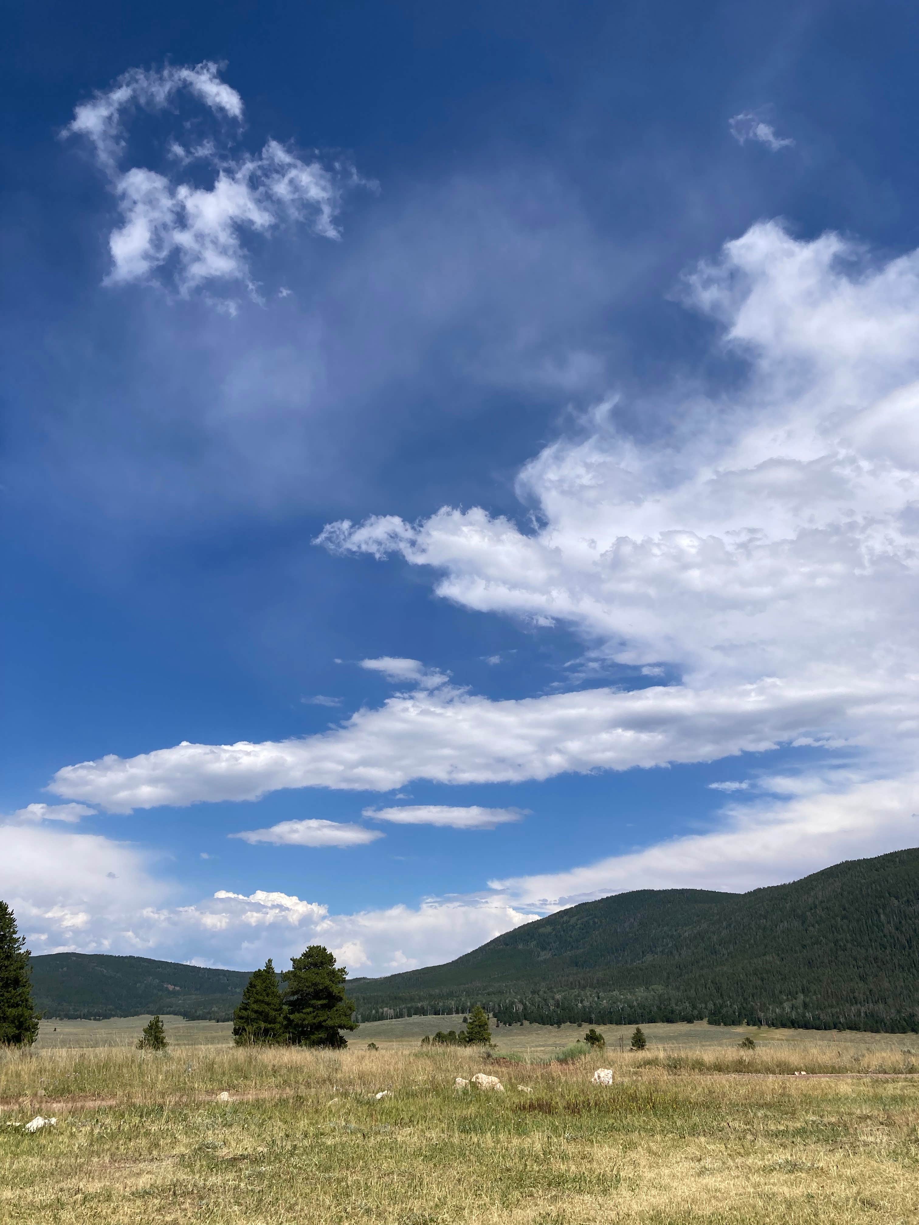 Kevin K.'s photo of a dispersed camping area at FS Road #177 Bowden Draw Dispersed Camping Area near Neola, UT