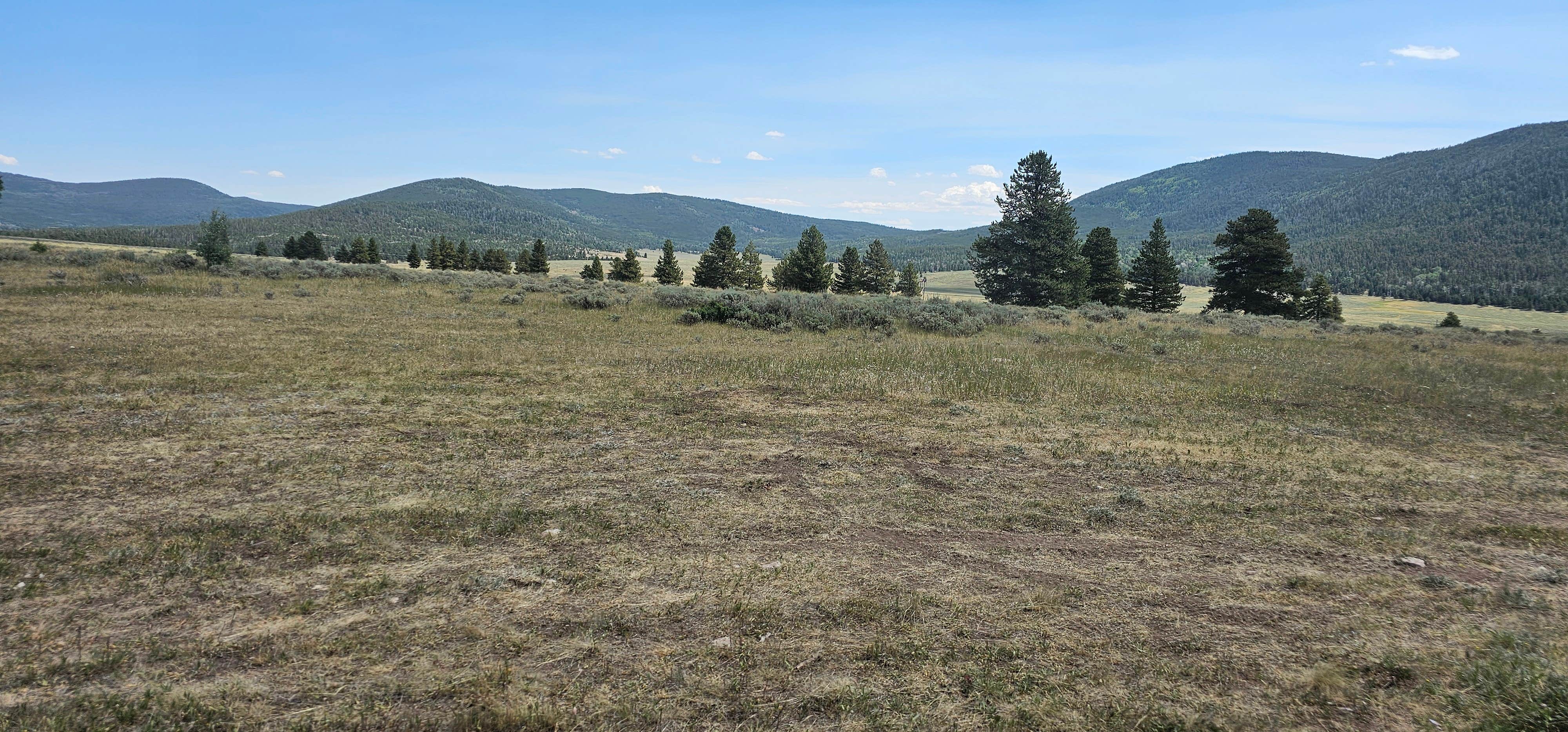 Camper-submitted photo at FS Road #177 Bowden Draw Dispersed Camping Area near Flaming Gorge, UT
