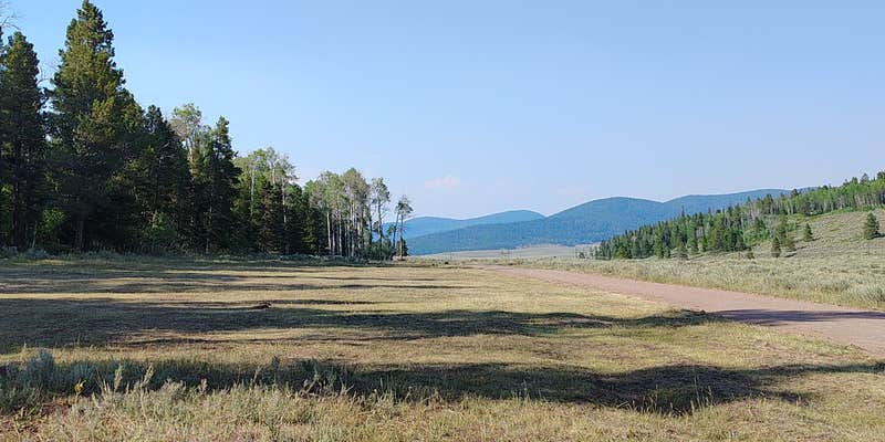 Camper submitted image from FS Road #253 Stringham Cabin Dispersed Camping Area