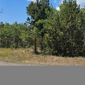 Review photo of FS Road #253 Stringham Cabin Dispersed Camping Area by johny R., July 14, 2025