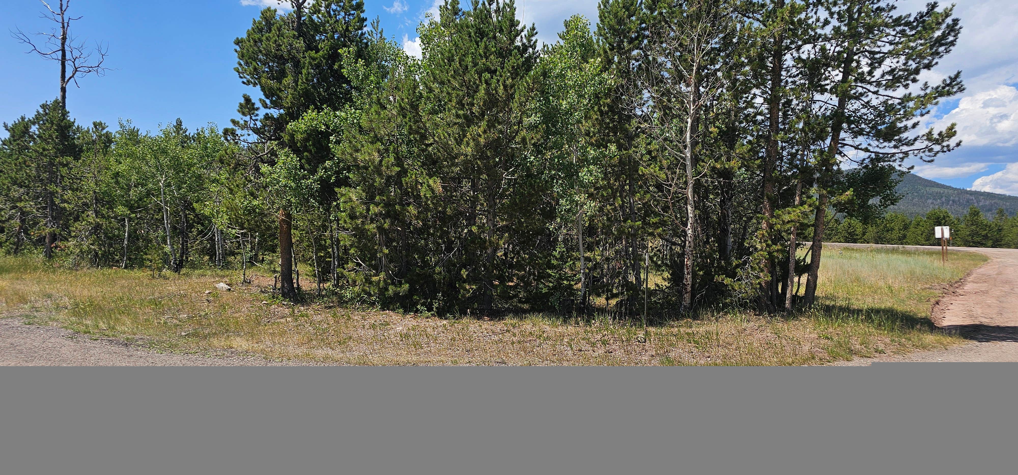 Camper submitted image from FS Road #253 Stringham Cabin Dispersed Camping Area - 1
