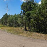 Review photo of FS Road #253 Stringham Cabin Dispersed Camping Area by johny R., July 14, 2025
