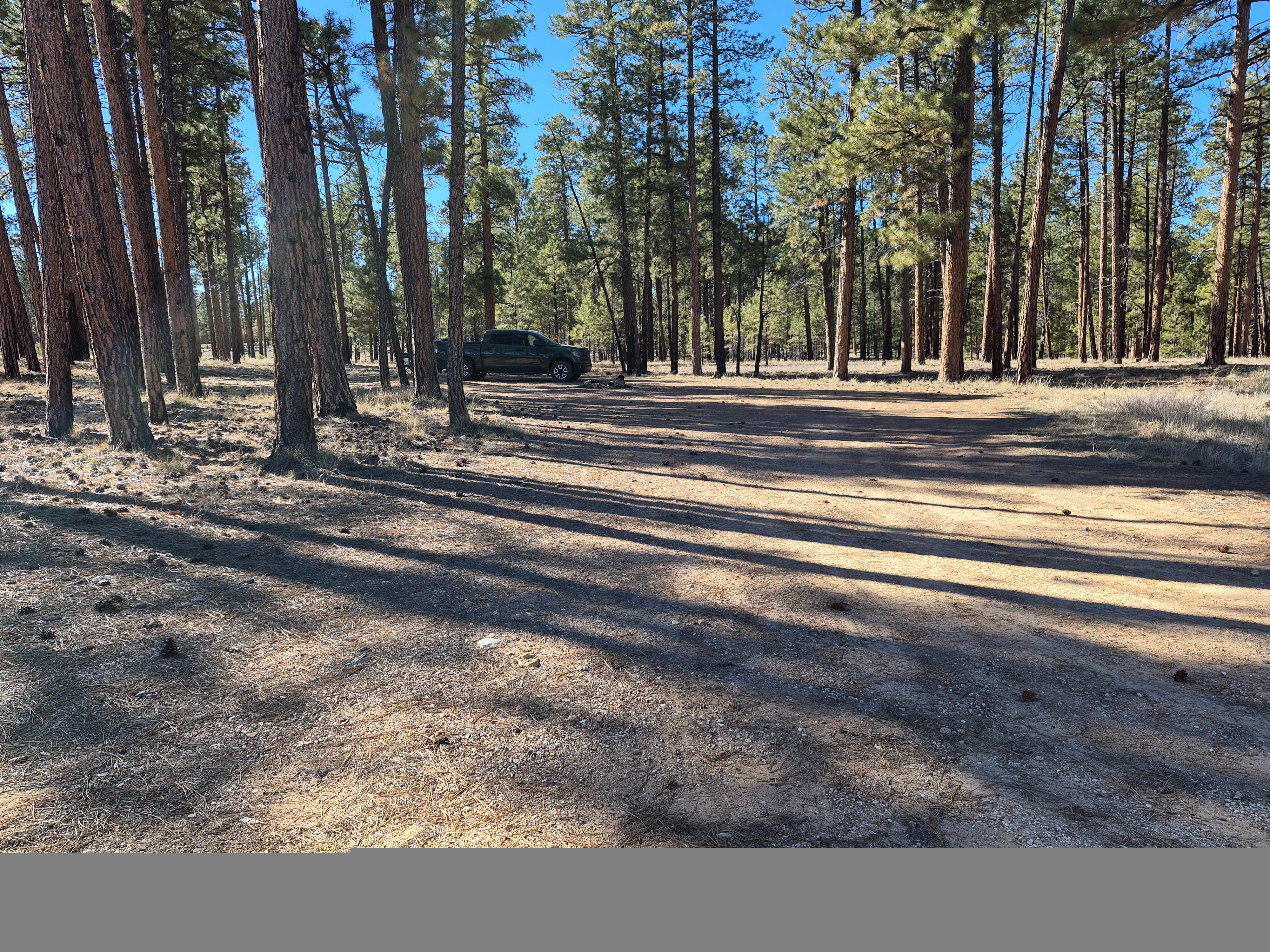 Camper-submitted photo at FS Road #257 Dispersed Camping near Fredonia, AZ