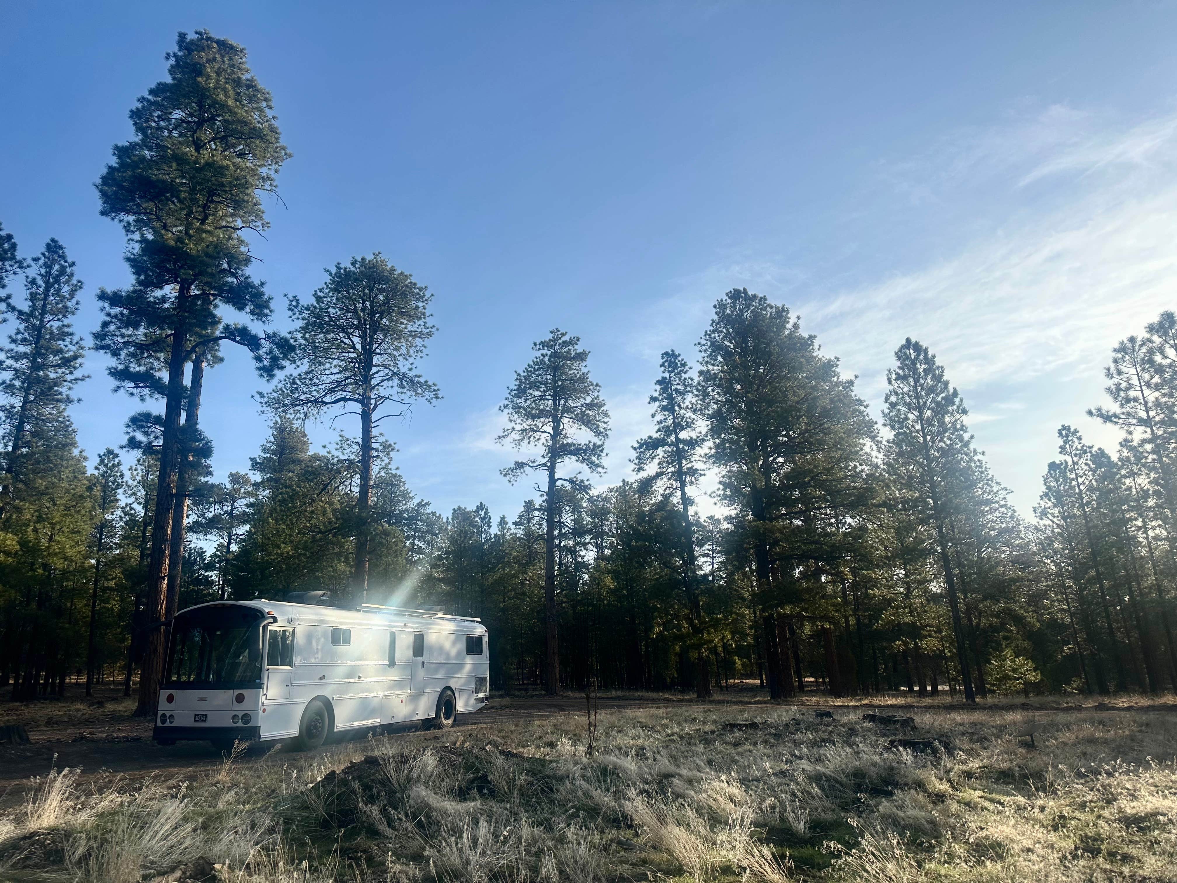 Camper-submitted photo at FS Road #257 Dispersed Camping near Page, AZ