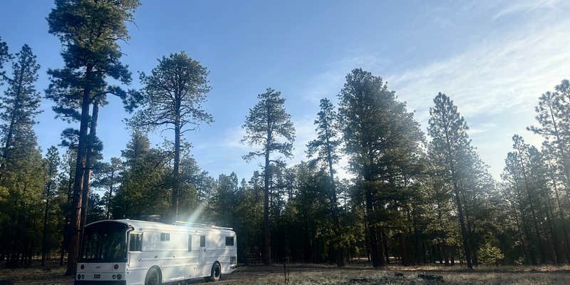 Camper submitted image from FS Road #257 Dispersed Camping