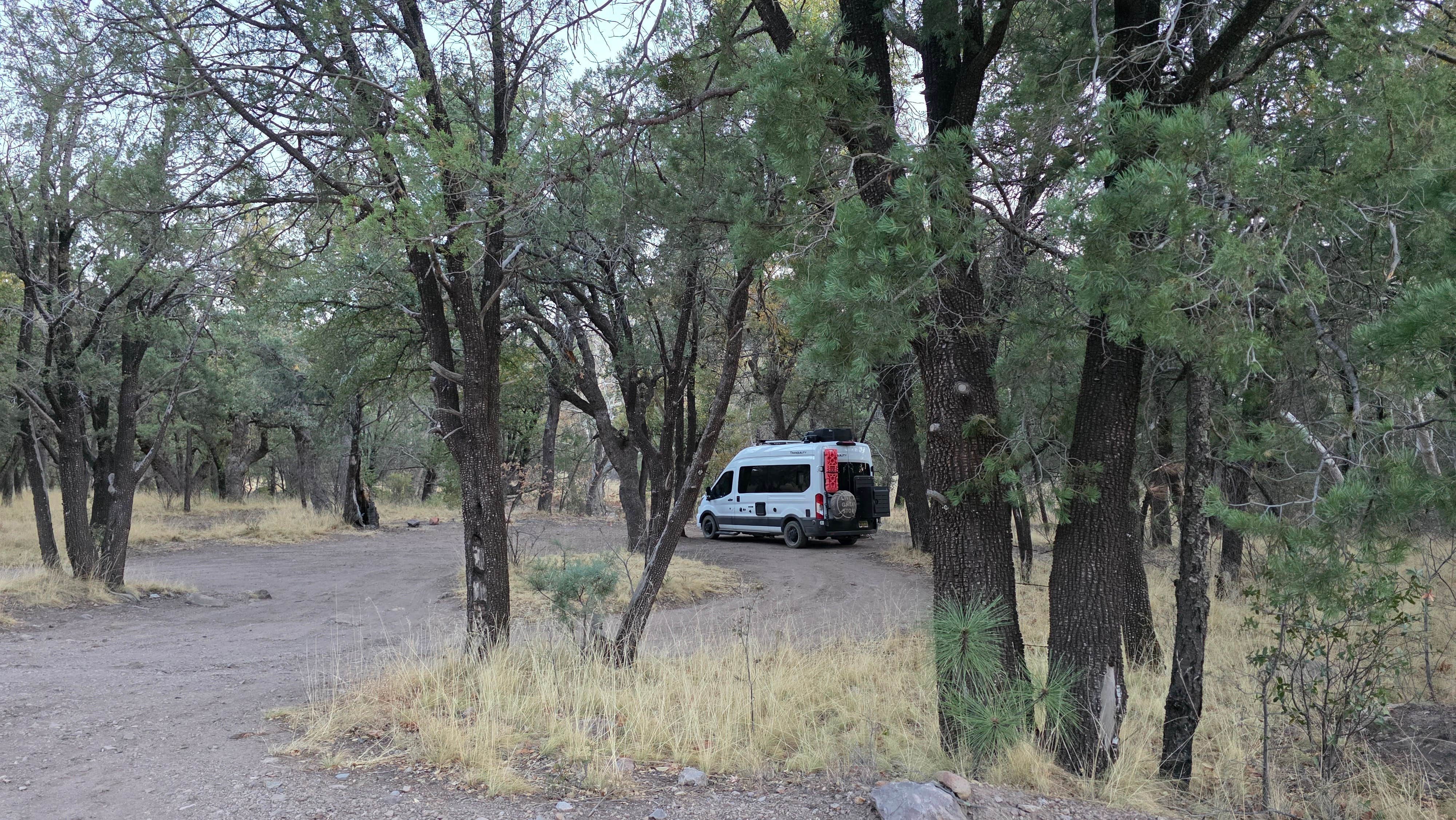 Renee T.'s photo of rv camping at FS Road 42 Dispersed near Rodeo, NM