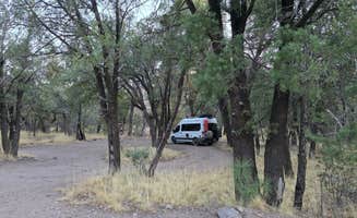 Renee T.'s photo of rv camping at FS Road 42 Dispersed near Rodeo, NM