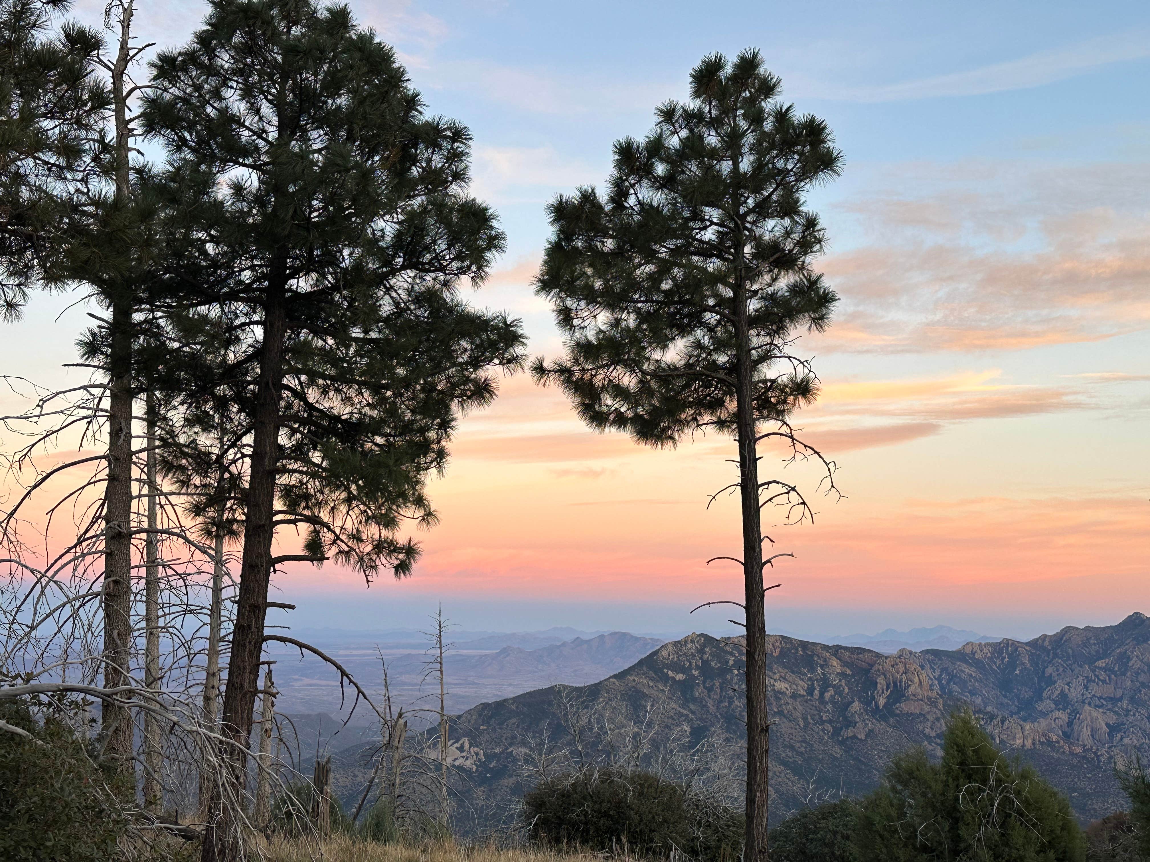 Camper-submitted photo at FS Road 42 Dispersed near Chiricahua, AZ