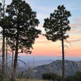 Review photo of FS Road 42 Dispersed by Fraun P., November 20, 2025