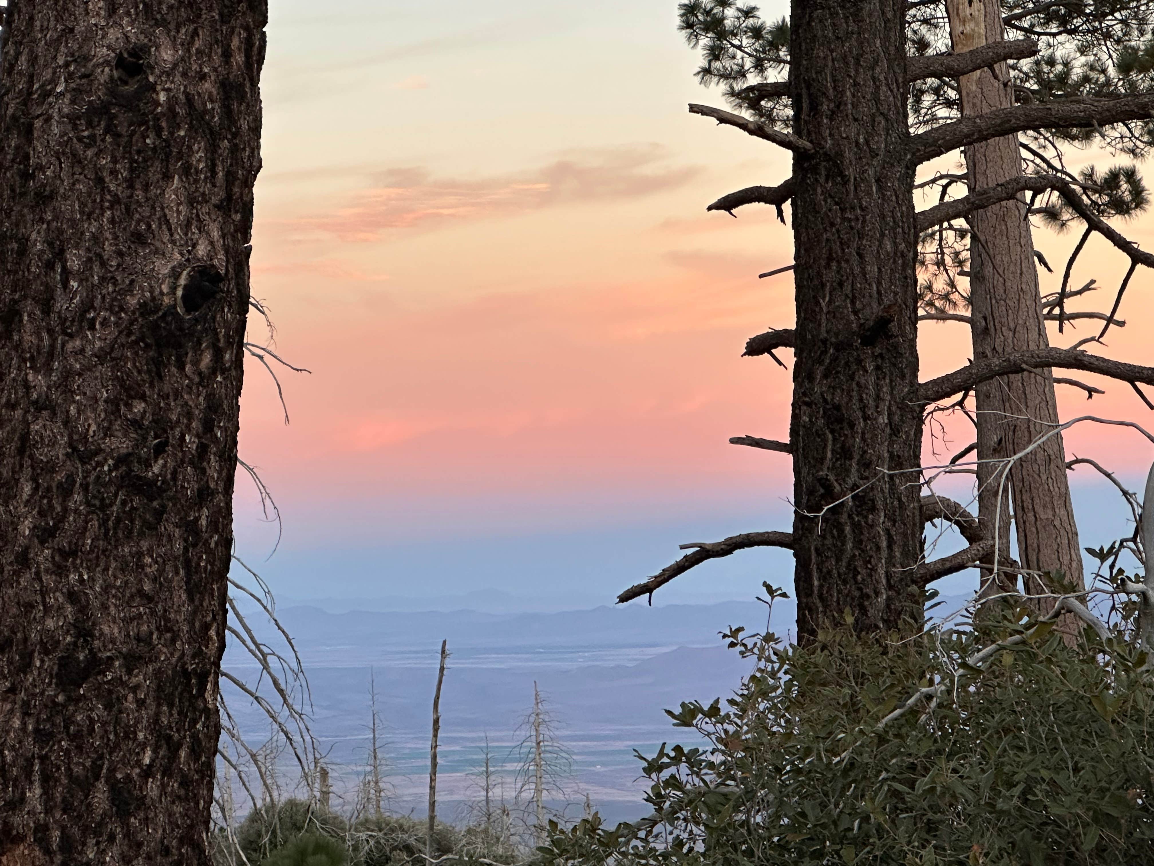Camper-submitted photo at FS Road 42 Dispersed near Chiricahua, AZ