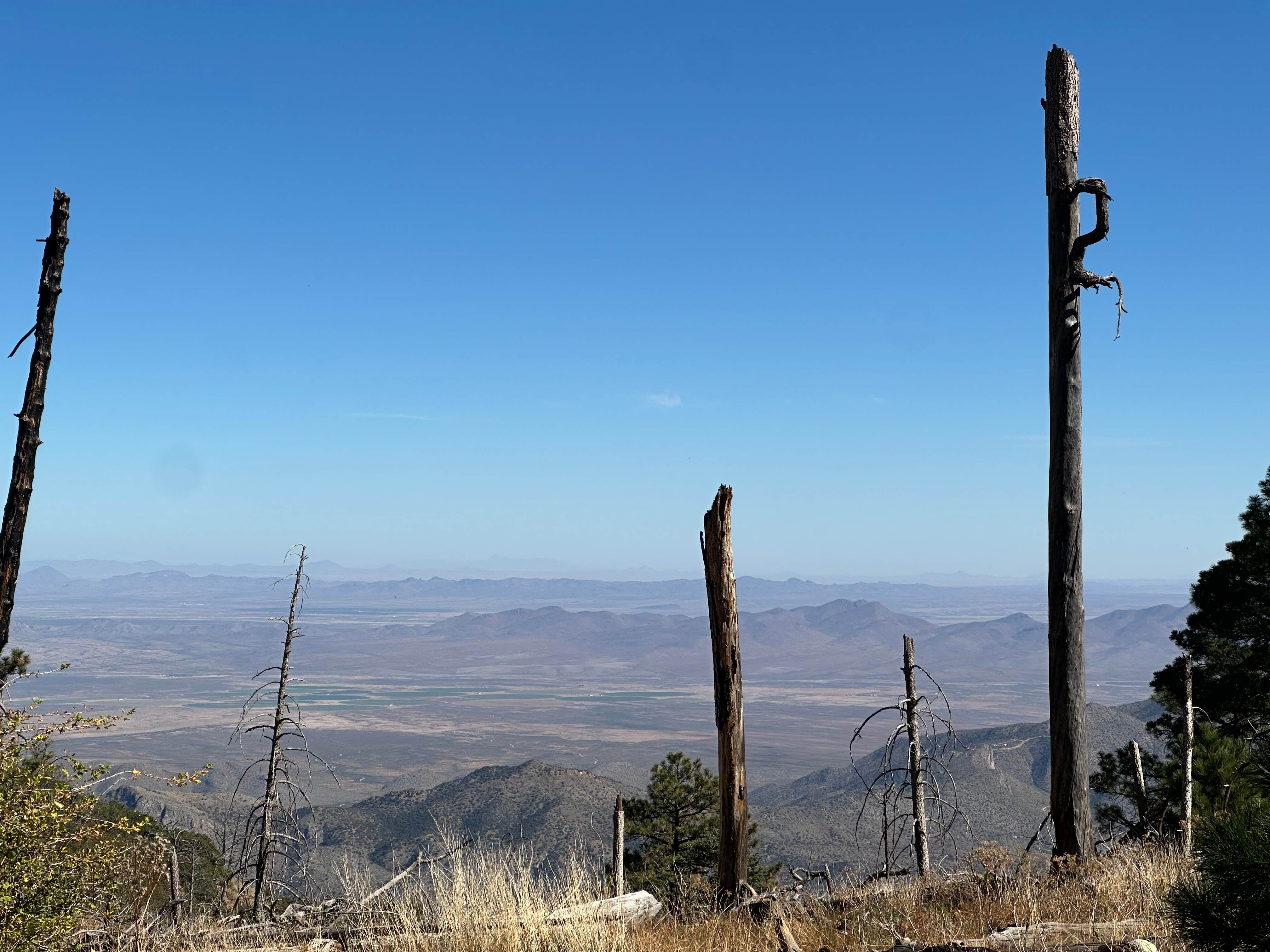 FS Road 42 Dispersed