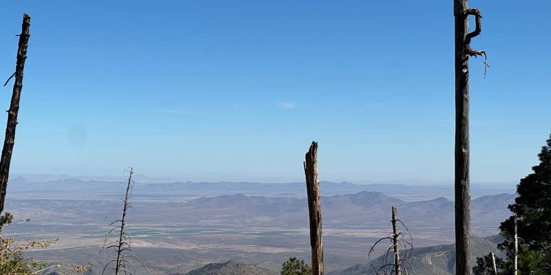 Camper submitted image from FS Road 42 Dispersed