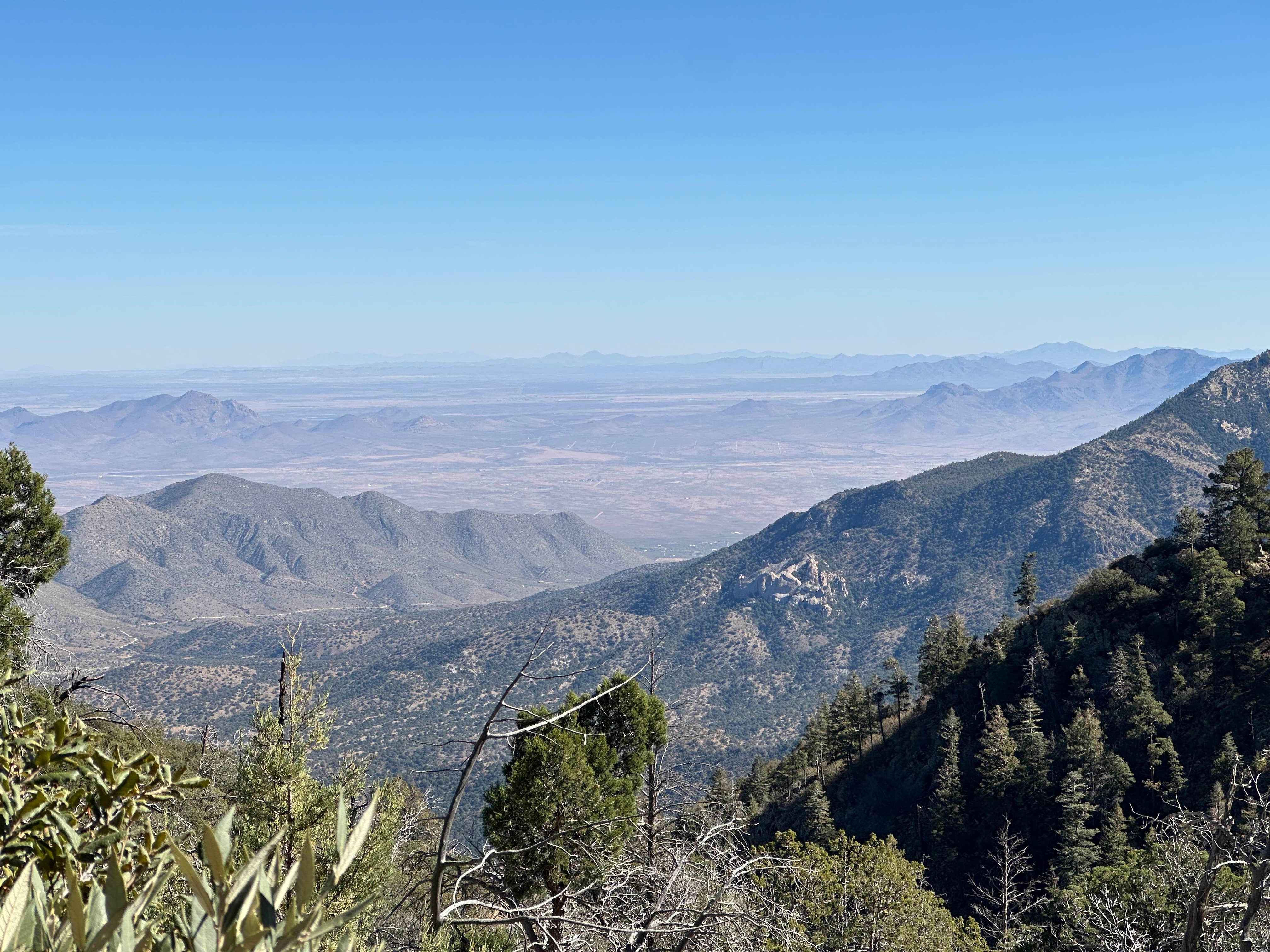 Camper-submitted photo at FS Road 42 Dispersed near Chiricahua, AZ